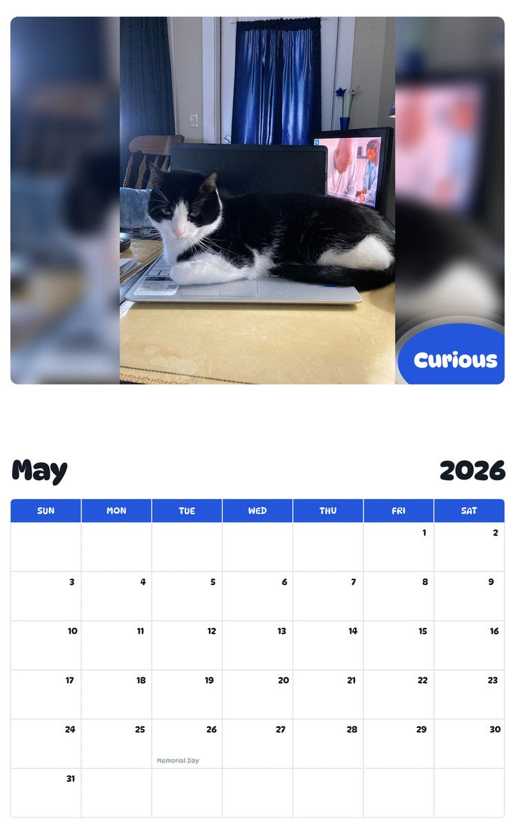 2026 - 2027 Curious - Pawidols Pet Calendar