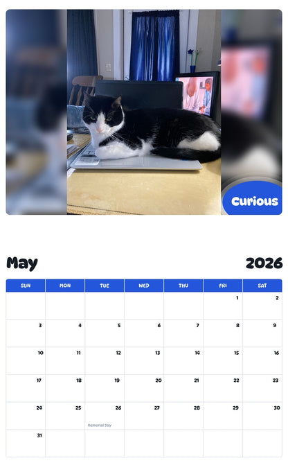 2026 - 2027 Curious - Pawidols Pet Calendar
