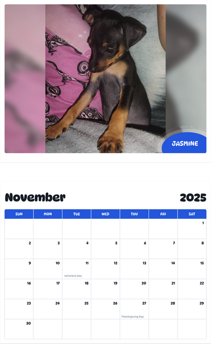 July 2025 - June 2026 Jasmine - Pawidols Pet Calendar