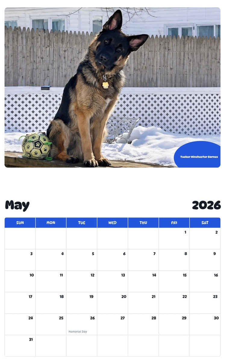 2026 - 2027 Tucker Winchester Barnes - Pawidols Pet Calendar