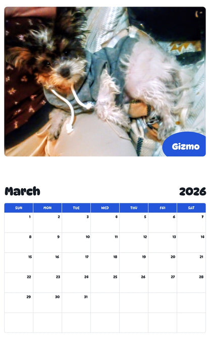 November 2025 - October 2026 Gizmo - Pawidols Pet Calendar