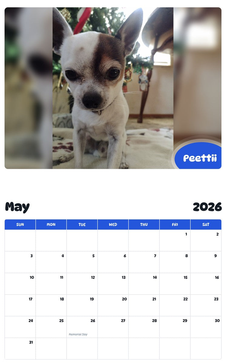2026 - 2027 Peettii - Pawidols Pet Calendar