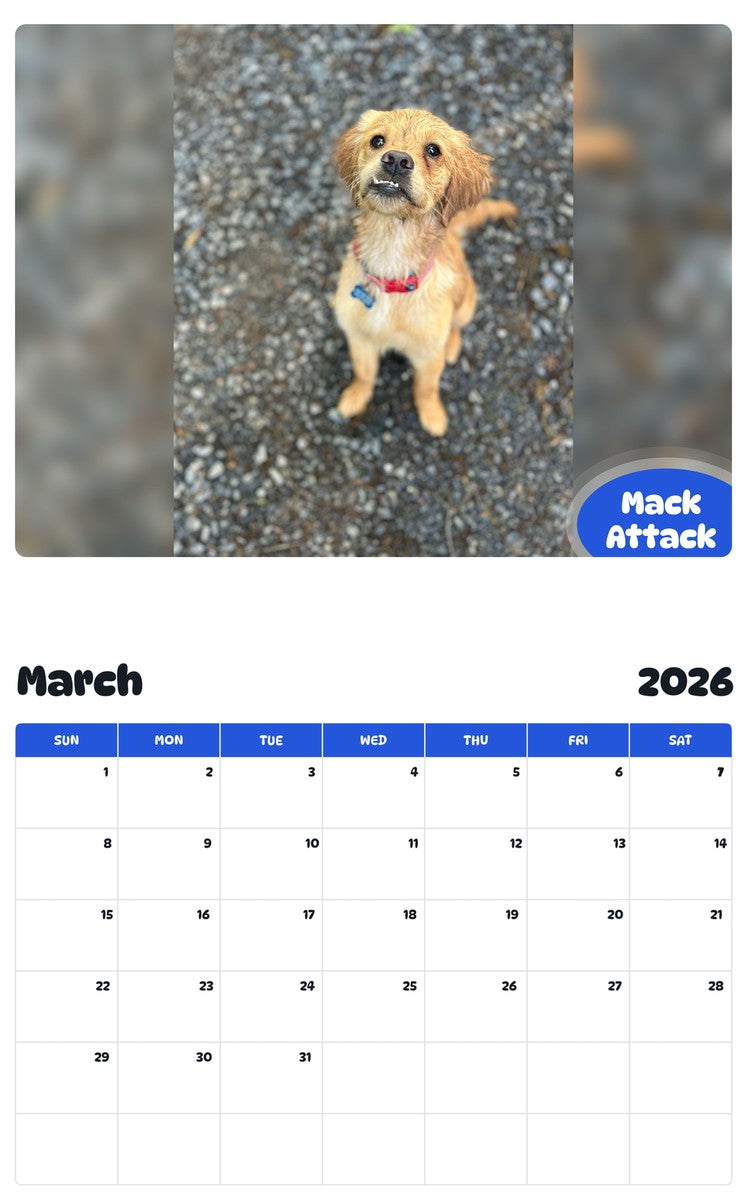 November 2025 - October 2026 Mack Attack - Pawidols Pet Calendar