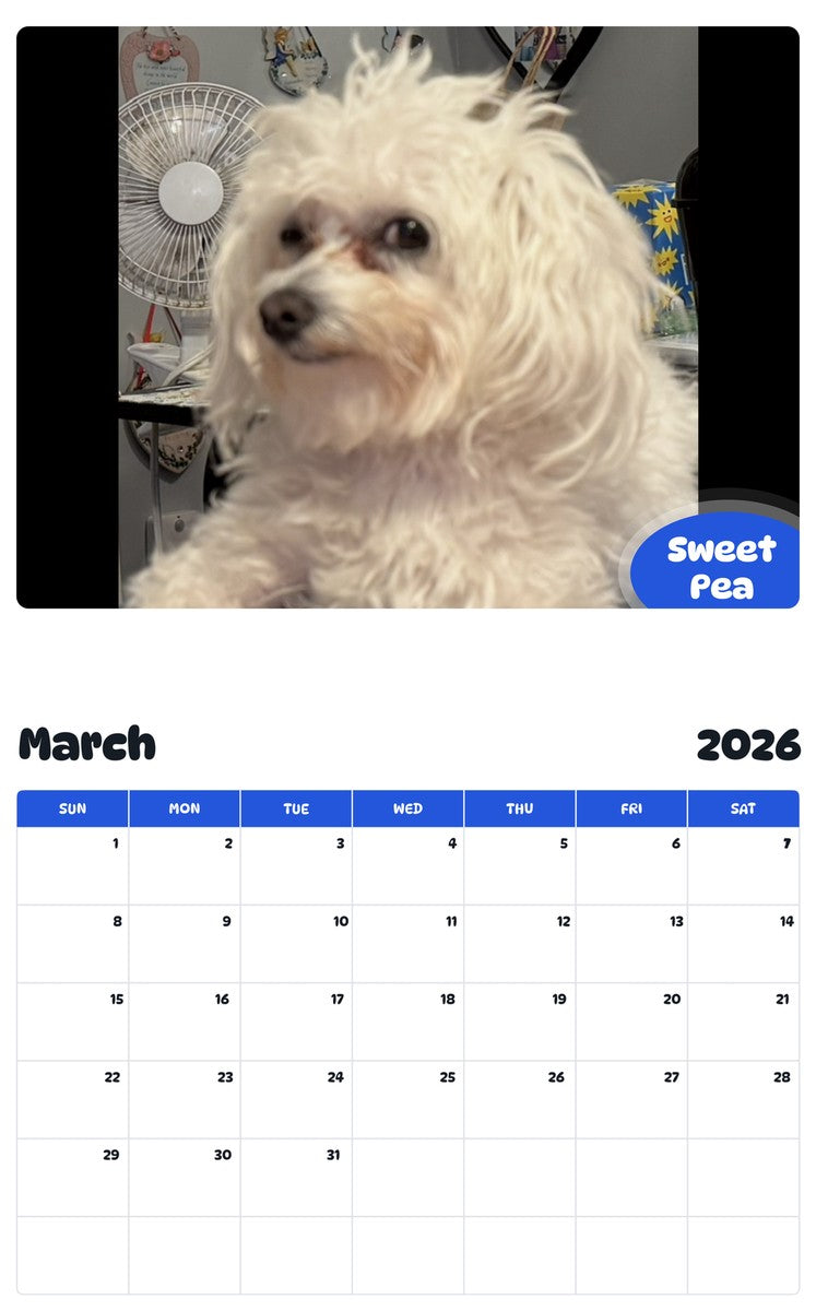 November 2025 - October 2026 Sweet Pea - Pawidols Pet Calendar