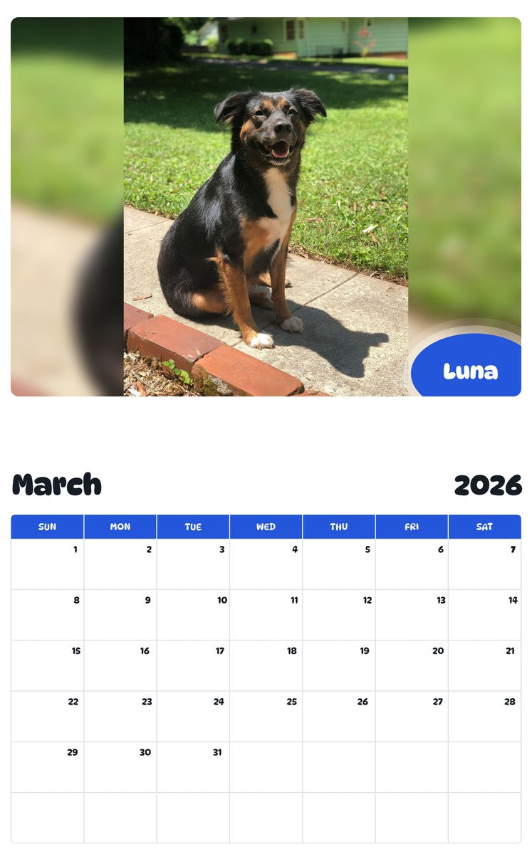 November 2025 - October 2026 Luna - Pawidols Pet Calendar