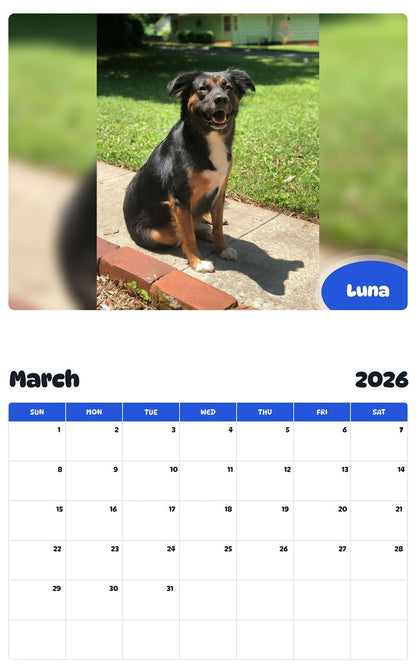 November 2025 - October 2026 Luna - Pawidols Pet Calendar