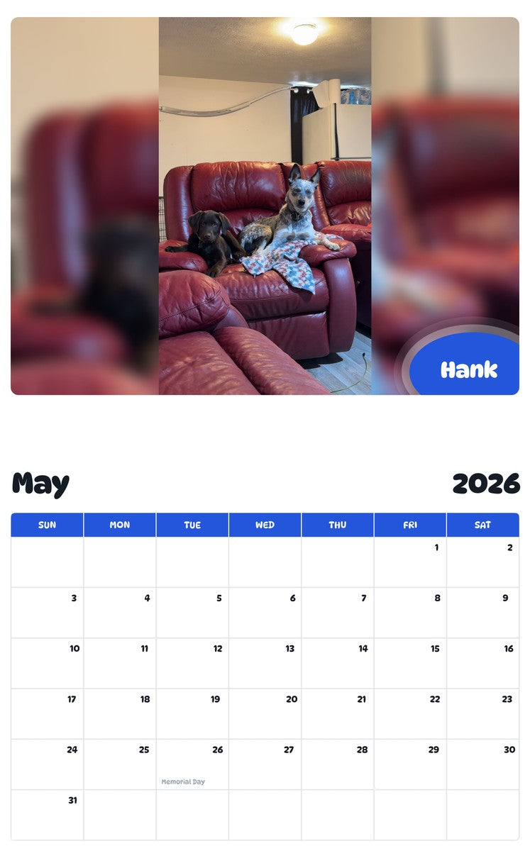 2026 - 2027 Hank - Pawidols Pet Calendar