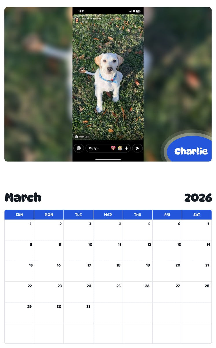 November 2025 - October 2026 Charlie - Pawidols Pet Calendar