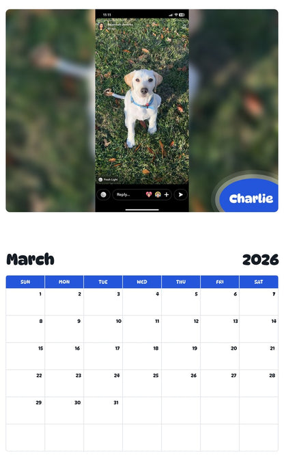 November 2025 - October 2026 Charlie - Pawidols Pet Calendar
