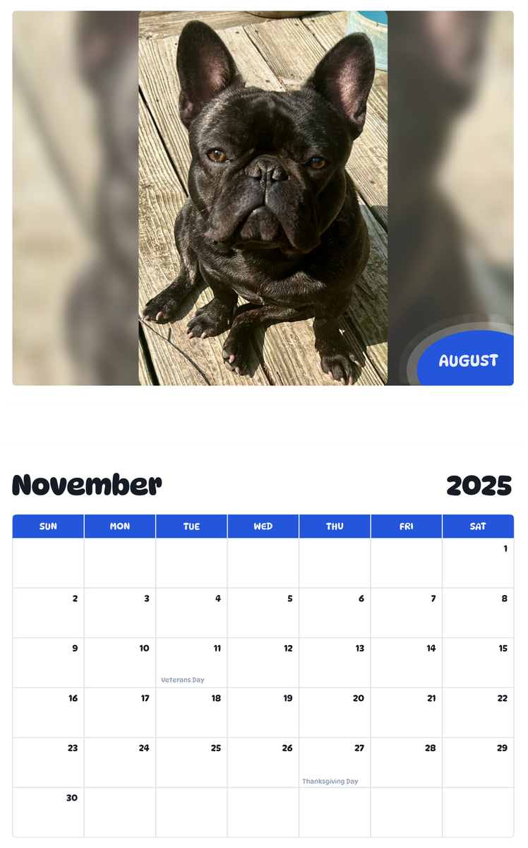 July 2025 - June 2026 August - Pawidols Pet Calendar