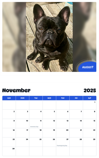 July 2025 - June 2026 August - Pawidols Pet Calendar