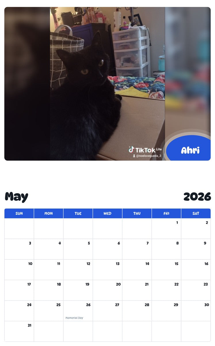 2026 - 2027 Ahri - Pawidols Pet Calendar