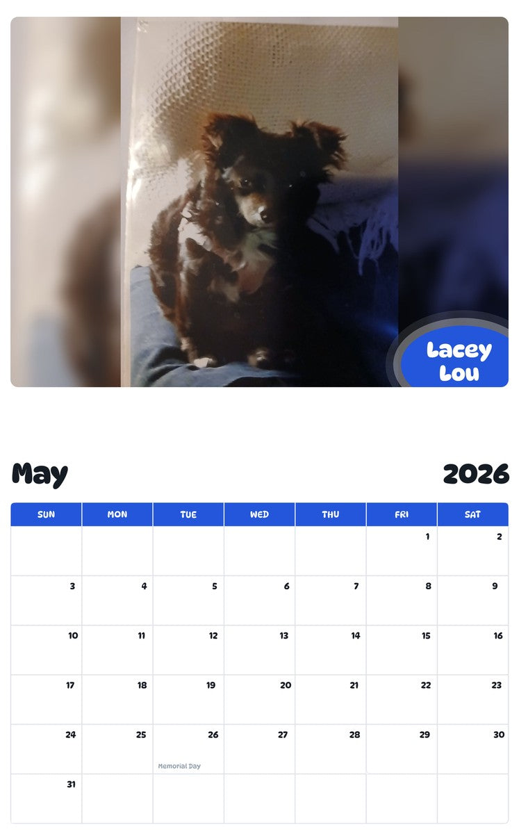 2026 - 2027 Lacey Lou - Pawidols Pet Calendar
