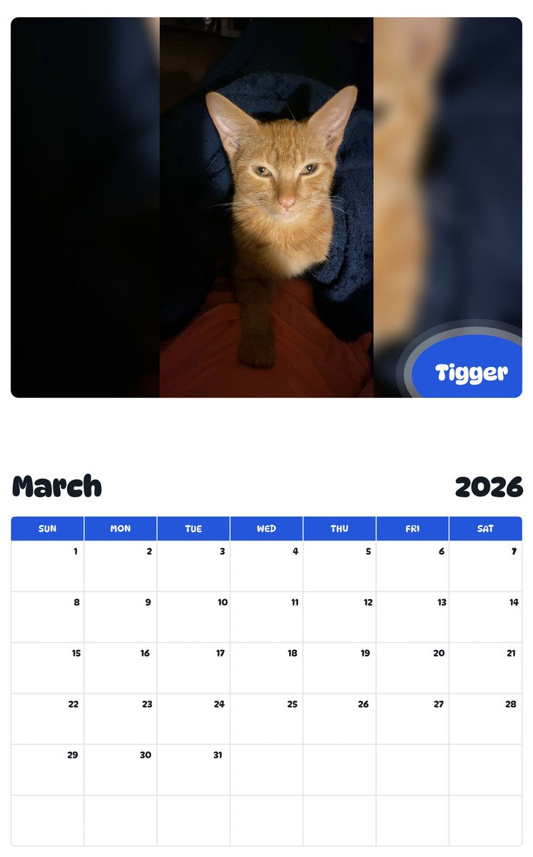 November 2025 - October 2026 Tigger - Pawidols Pet Calendar