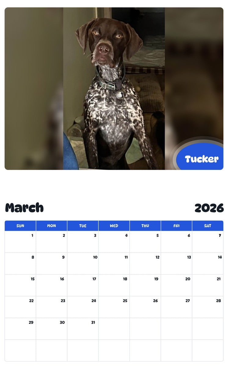 November 2025 - October 2026 Tucker - Pawidols Pet Calendar