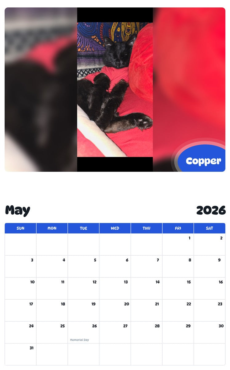 2026 - 2027 Copper - Pawidols Pet Calendar