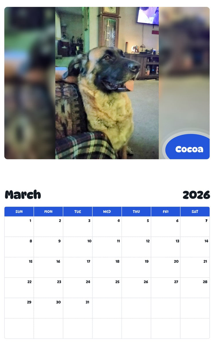 November 2025 - October 2026 Cocoa - Pawidols Pet Calendar
