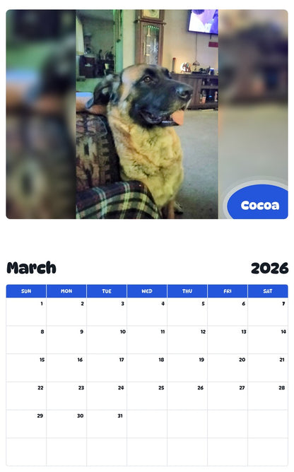 November 2025 - October 2026 Cocoa - Pawidols Pet Calendar