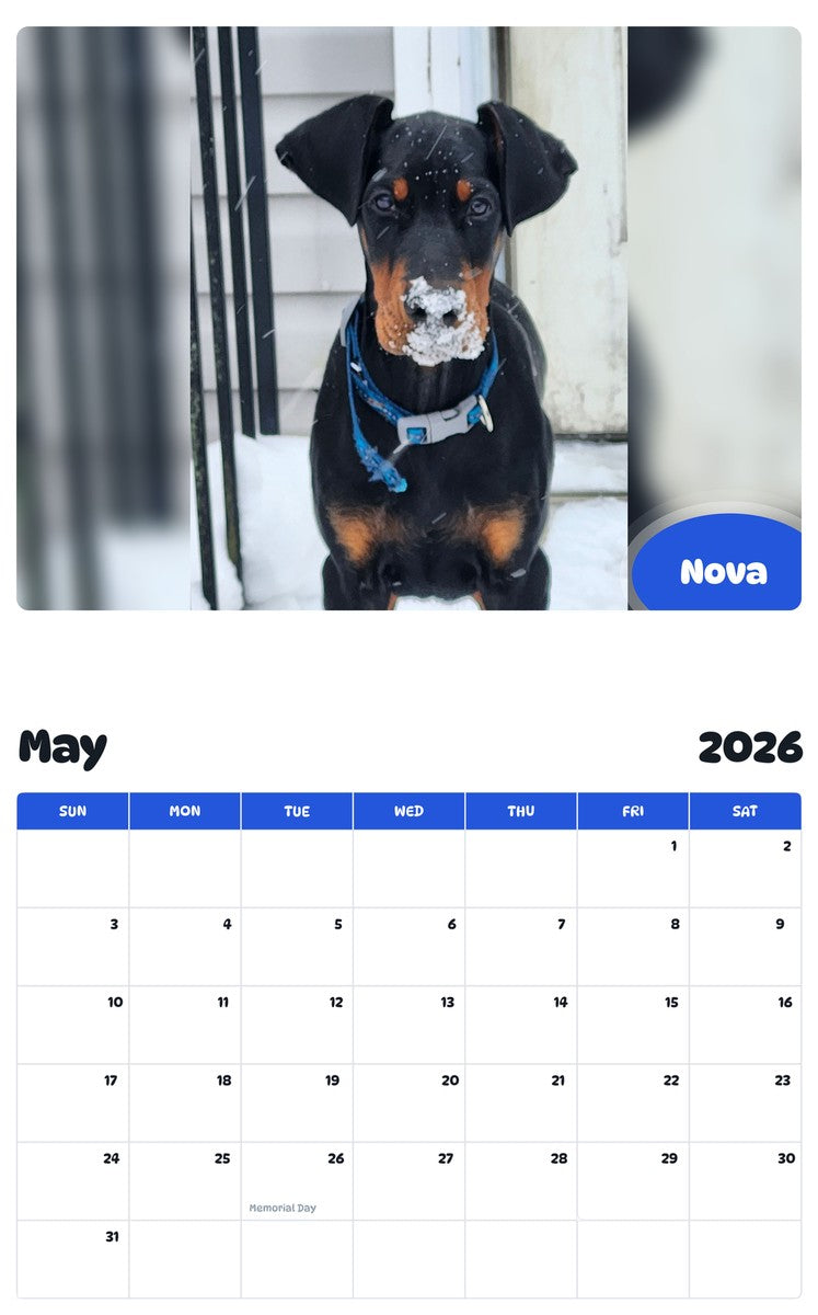2026 - 2027 Nova - Pawidols Pet Calendar
