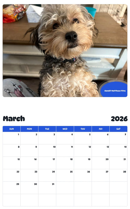 November 2025 - October 2026 Bandit Matthew Pitre - Pawidols Pet Calendar