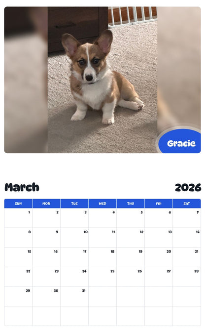 November 2025 - October 2026 Gracie - Pawidols Pet Calendar