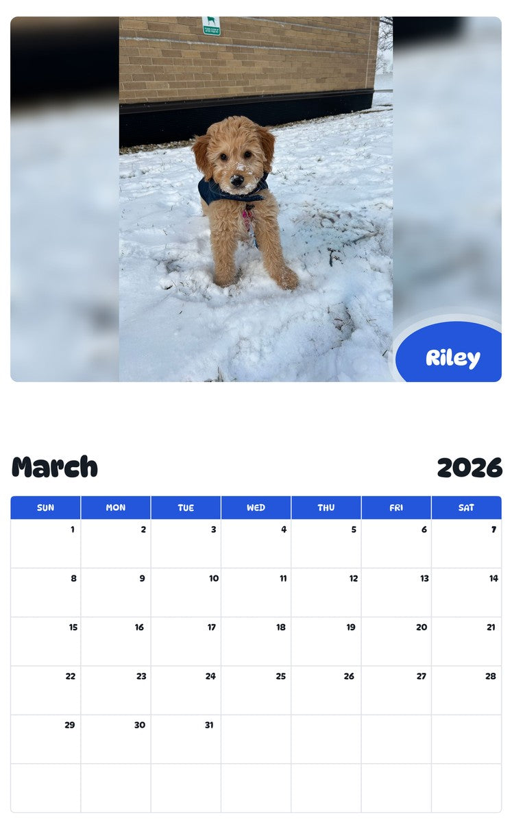 November 2025 - October 2026 Riley - Pawidols Pet Calendar