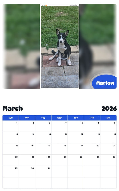 November 2025 - October 2026 Marlow - Pawidols Pet Calendar