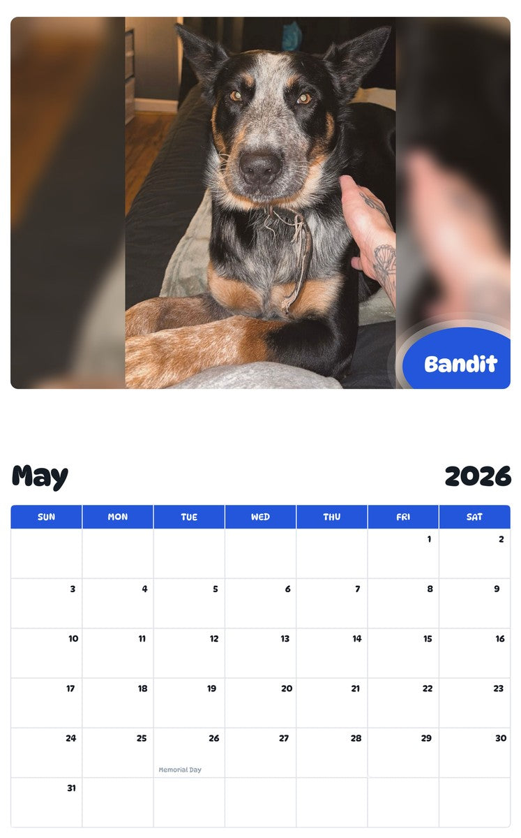2026 - 2027 Bandit - Pawidols Pet Calendar