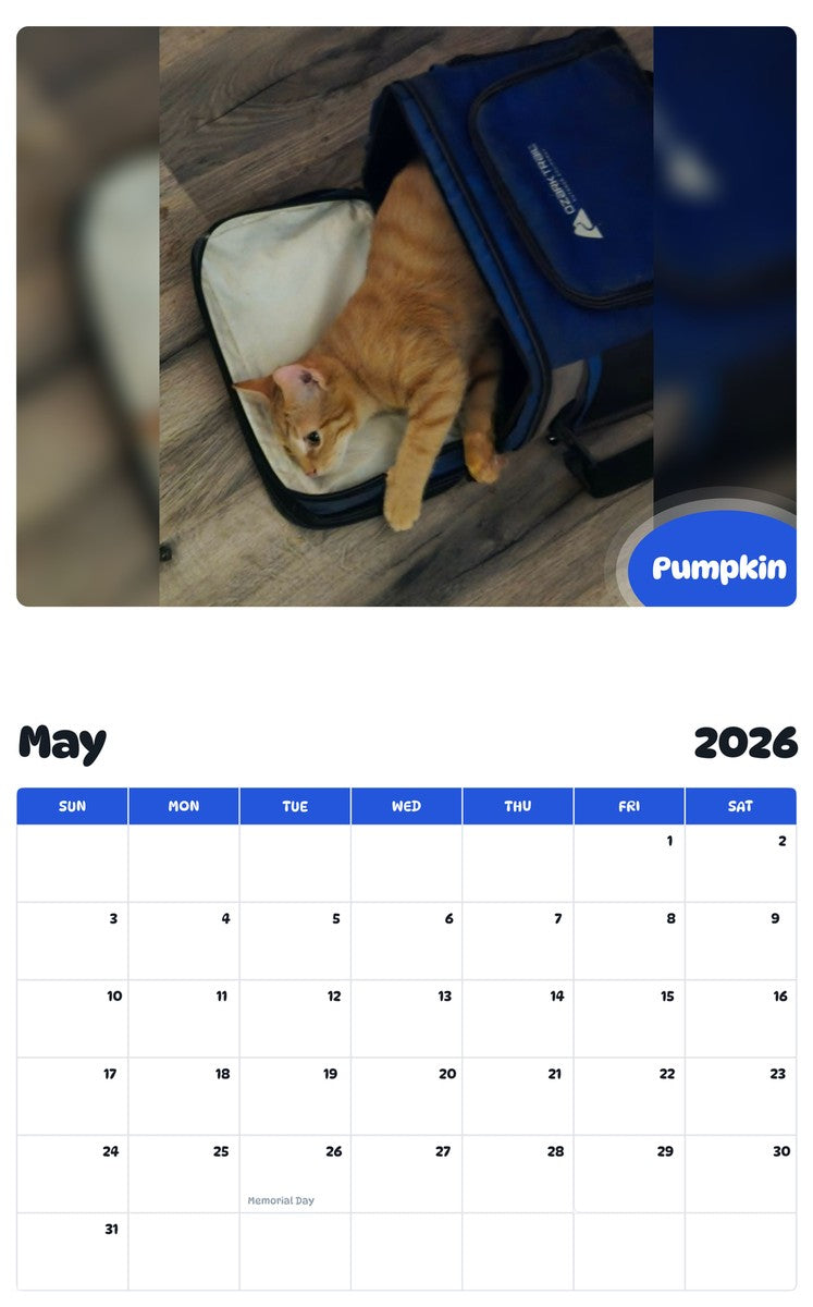 2026 - 2027 Pumpkin - Pawidols Pet Calendar
