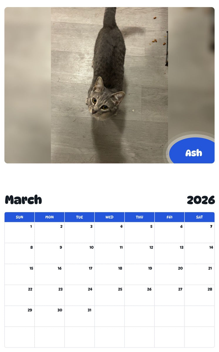 November 2025 - October 2026 Ash - Pawidols Pet Calendar