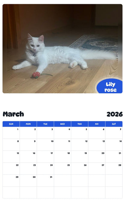 November 2025 - October 2026 Lily rose - Pawidols Pet Calendar