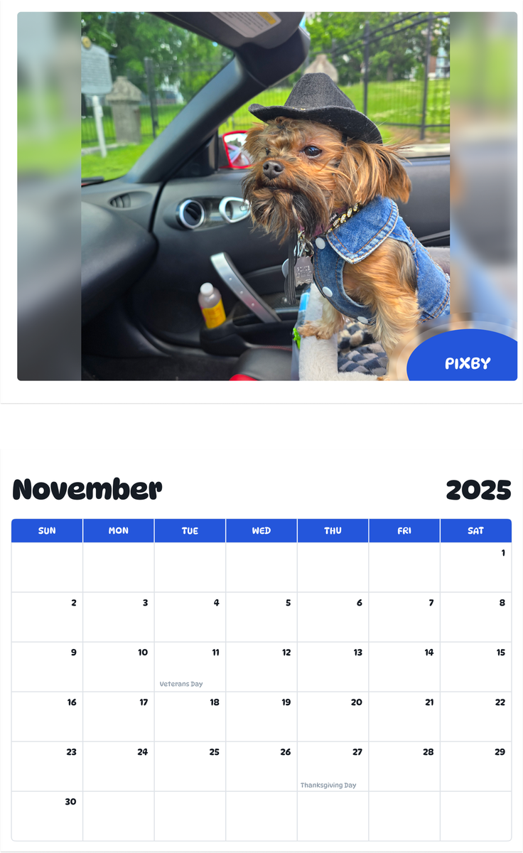July 2025 - June 2026 Pixby - Pawidols Pet Calendar