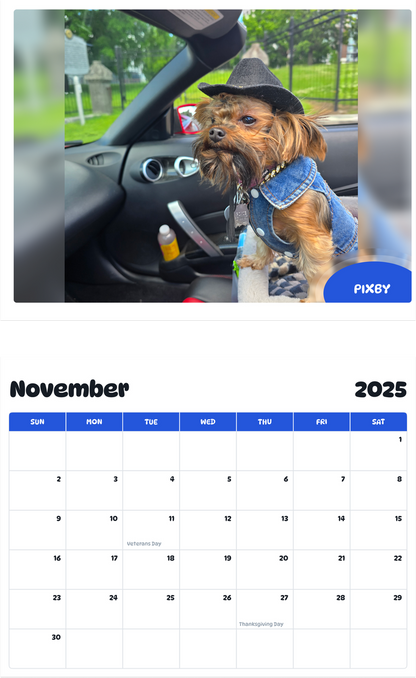July 2025 - June 2026 Pixby - Pawidols Pet Calendar