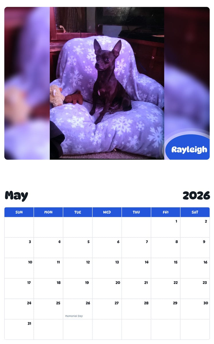 2026 - 2027 Rayleigh - Pawidols Pet Calendar