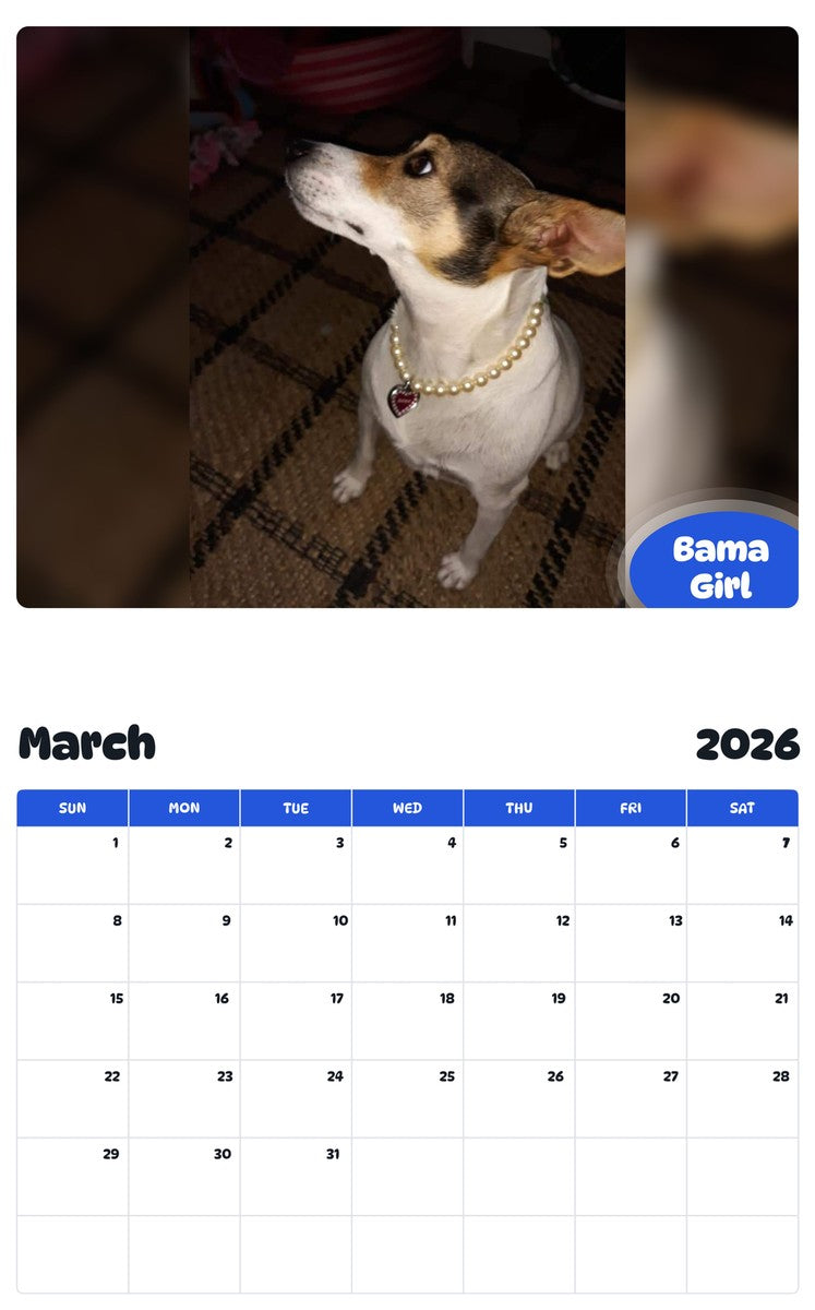 November 2025 - October 2026 Bama Girl - Pawidols Pet Calendar
