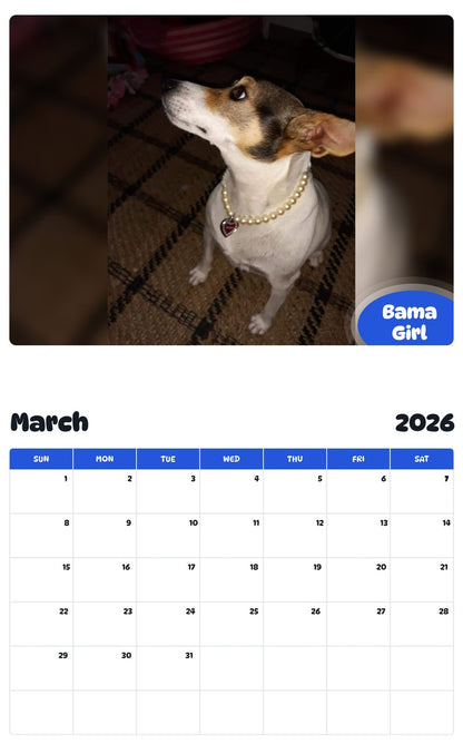 November 2025 - October 2026 Bama Girl - Pawidols Pet Calendar