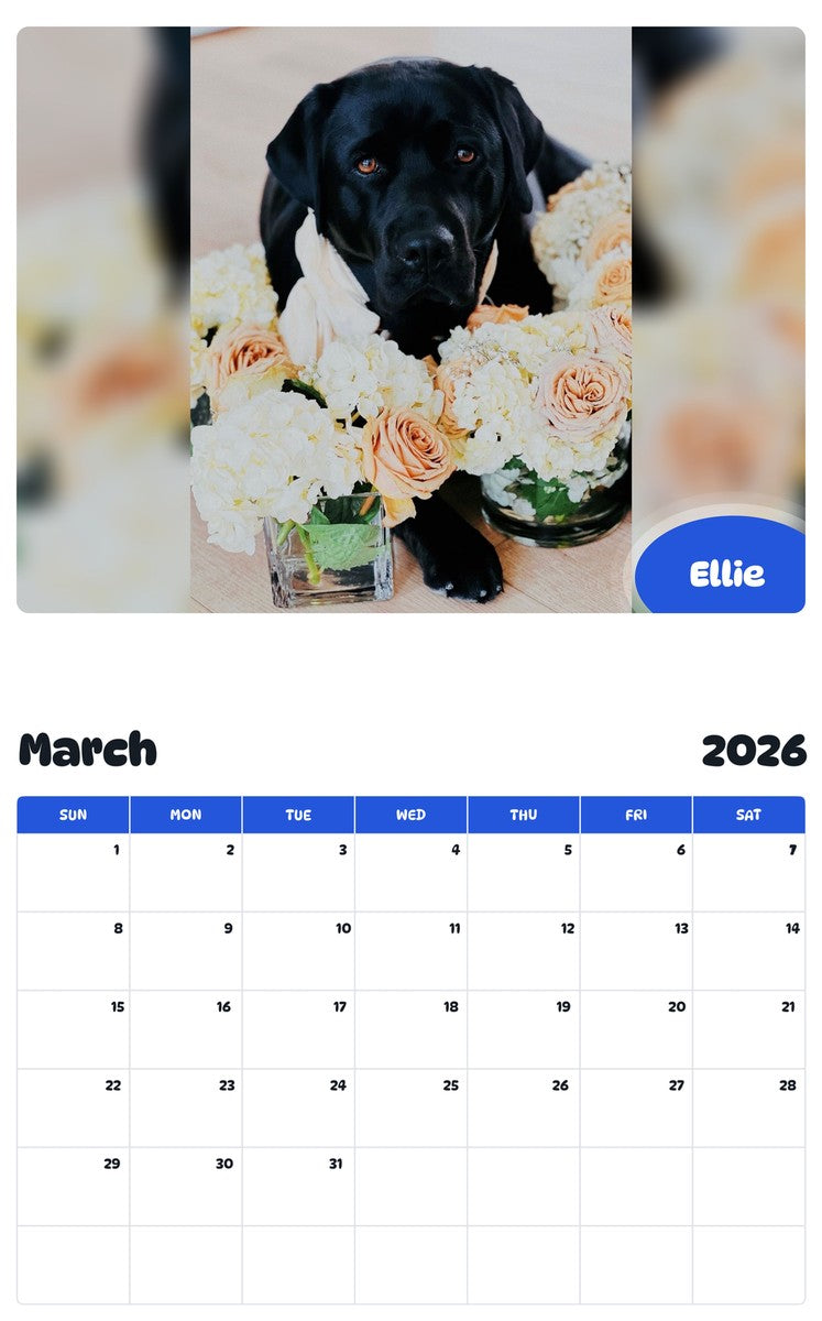 November 2025 - October 2026 Ellie - Pawidols Pet Calendar