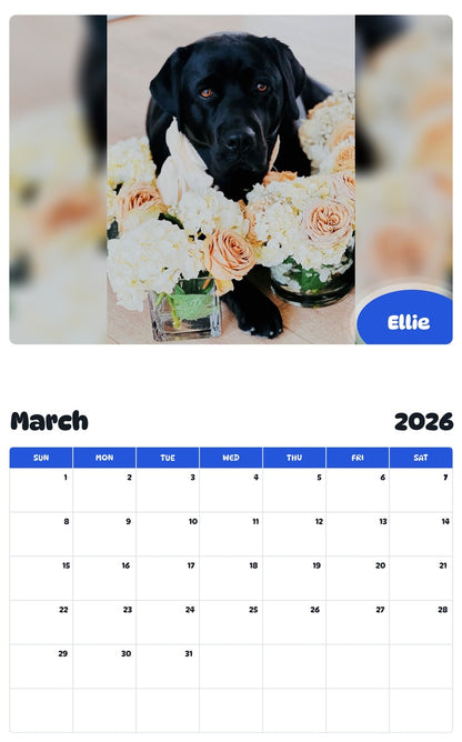 November 2025 - October 2026 Ellie - Pawidols Pet Calendar