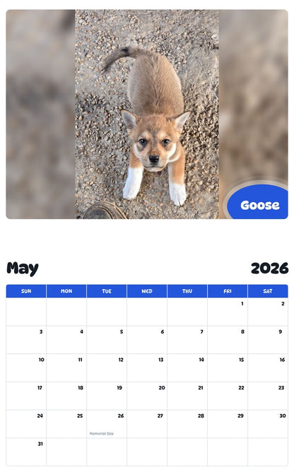 2026 - 2027 Goose - Pawidols Pet Calendar
