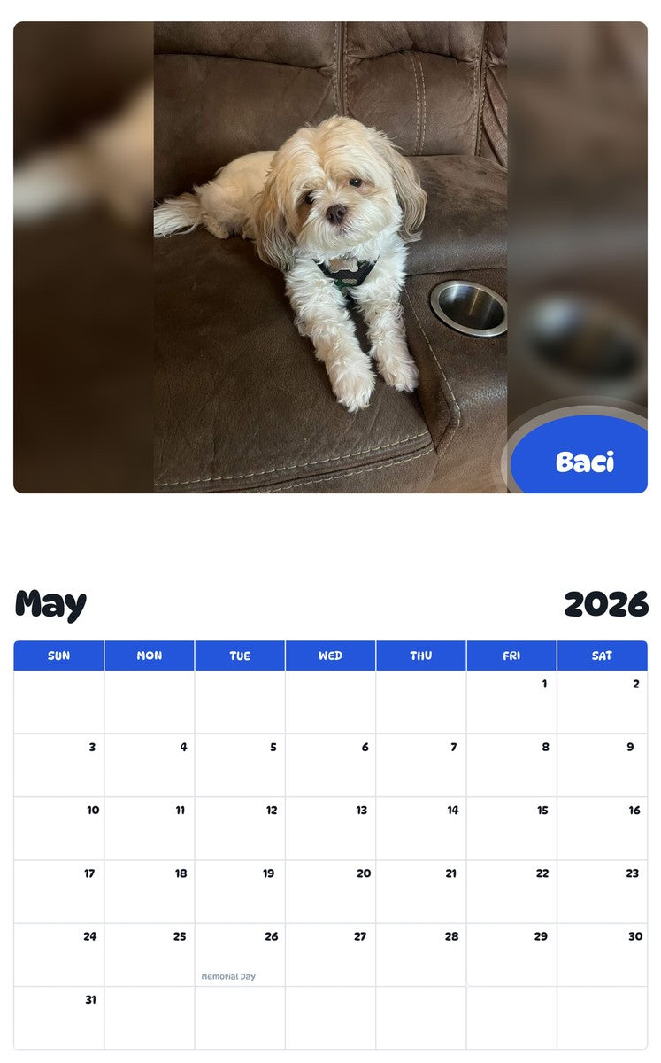 2026 - 2027 Baci - Pawidols Pet Calendar