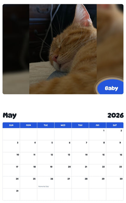 2026 - 2027 Baby - Pawidols Pet Calendar