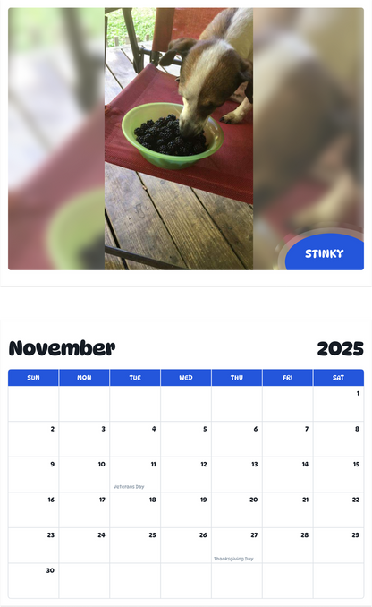 July 2025 - June 2026 Stinky - Pawidols Pet Calendar