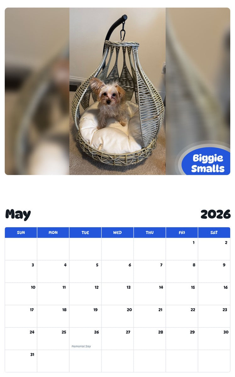 2026 - 2027 Biggie Smalls - Pawidols Pet Calendar