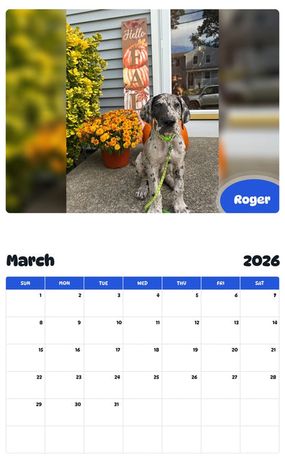 November 2025 - October 2026 Roger - Pawidols Pet Calendar