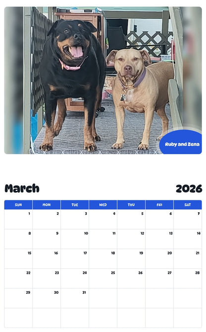 November 2025 - October 2026 Ruby and Zena - Pawidols Pet Calendar