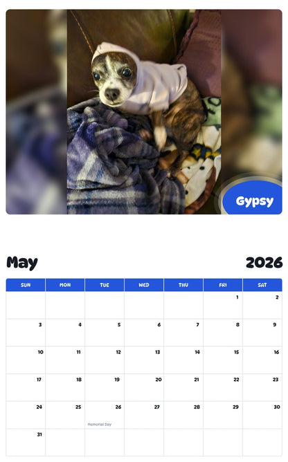 2026 - 2027 Gypsy - Pawidols Pet Calendar