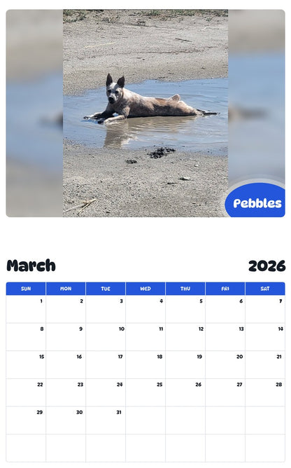 November 2025 - October 2026 Pebbles - Pawidols Pet Calendar