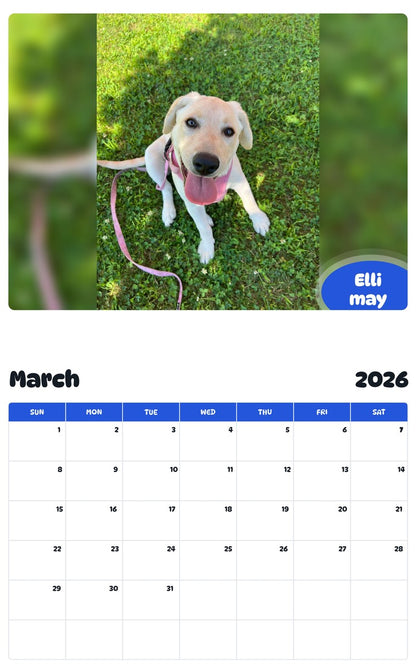 November 2025 - October 2026 Elli may - Pawidols Pet Calendar