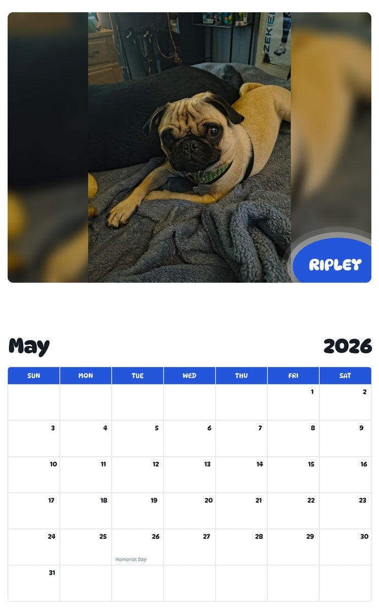 2026 - 2027 RIPLEY - Pawidols Pet Calendar