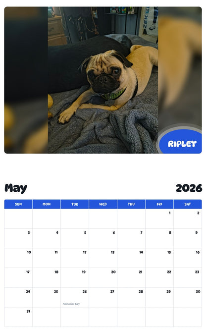 2026 - 2027 RIPLEY - Pawidols Pet Calendar